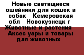 Новые светящиеся ошейники для кошек и собак - Кемеровская обл., Новокузнецк г. Животные и растения » Аксесcуары и товары для животных   